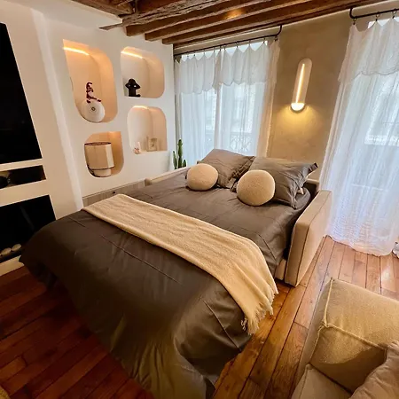 Appartement Luxe Louvre Parijs